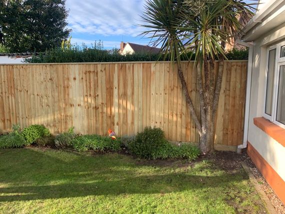 Small garden with fencing in Dorset