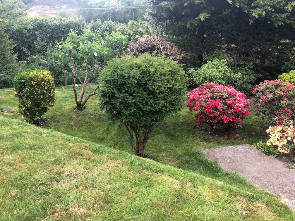 Landscape Gardeners Christchurch